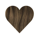 Hazelnut Brown