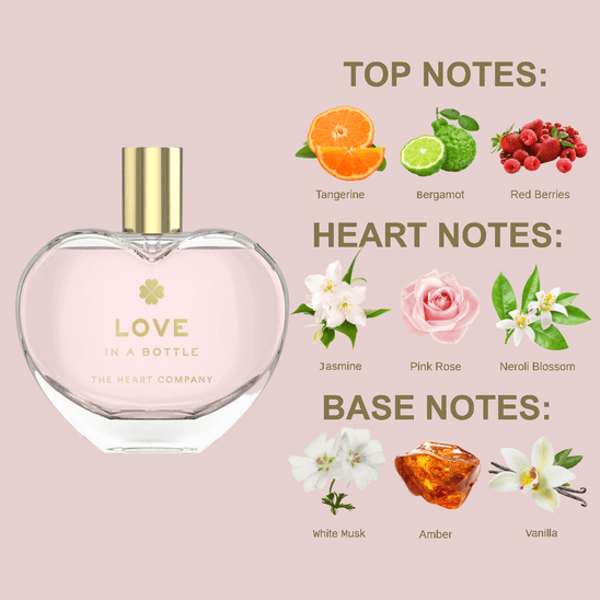 LOVE<br> in a bottle